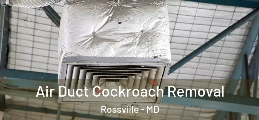  Air Duct Cockroach Removal Rossville - MD