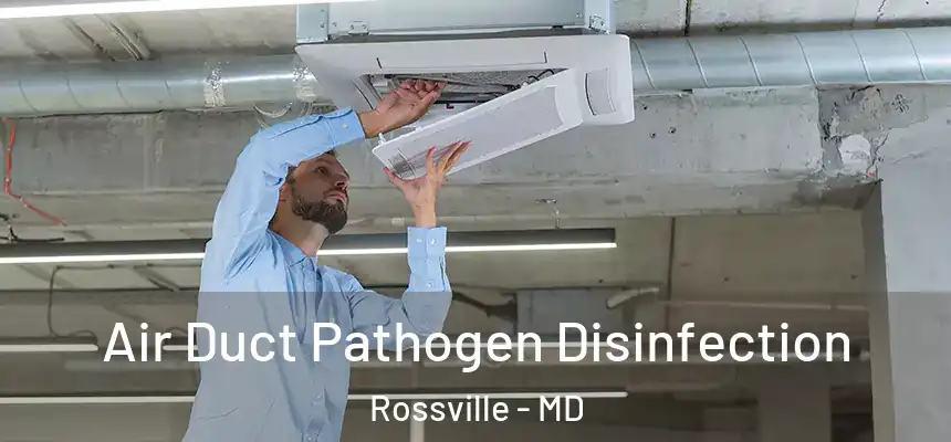  Air Duct Pathogen Disinfection Rossville - MD