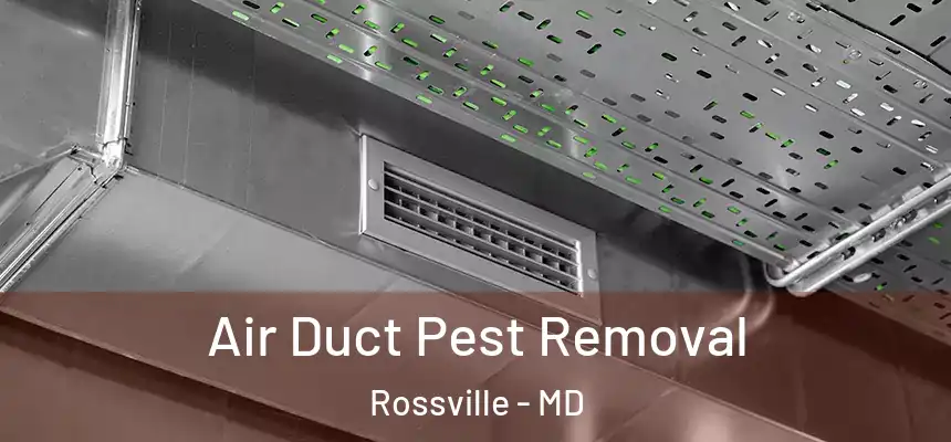  Air Duct Pest Removal Rossville - MD