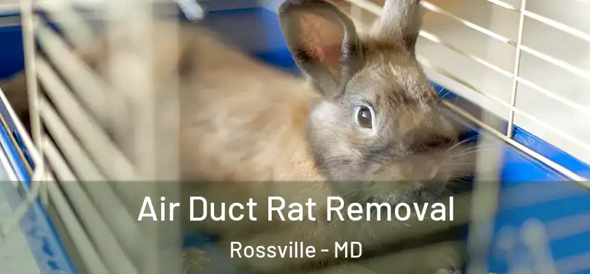 Air Duct Rat Removal Rossville - MD