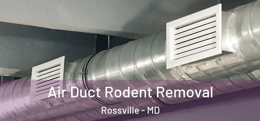  Air Duct Rodent Removal Rossville - MD