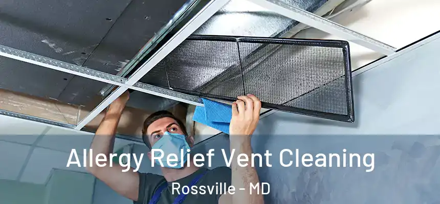  Allergy Relief Vent Cleaning Rossville - MD