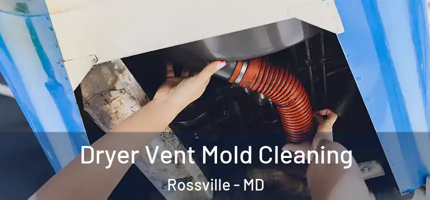  Dryer Vent Mold Cleaning Rossville - MD
