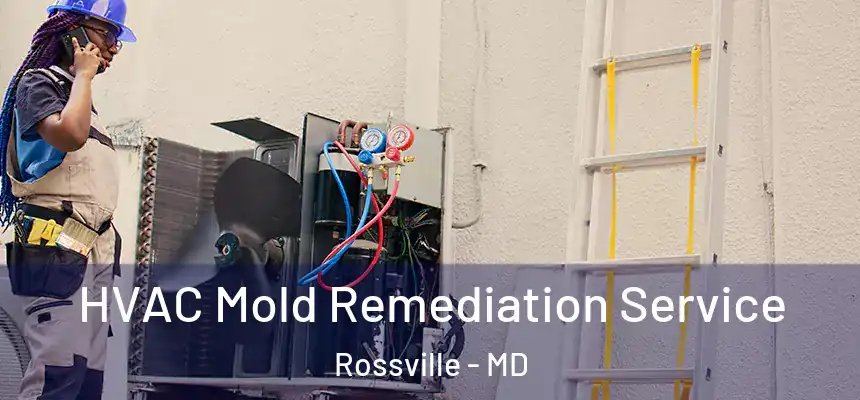  HVAC Mold Remediation Service Rossville - MD