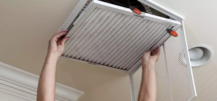 Preventive Cockroach-Proofing for Ducts in Rossville