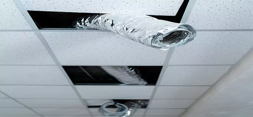 Our Air Duct Pet Hair Removal Services in Rossville, MD