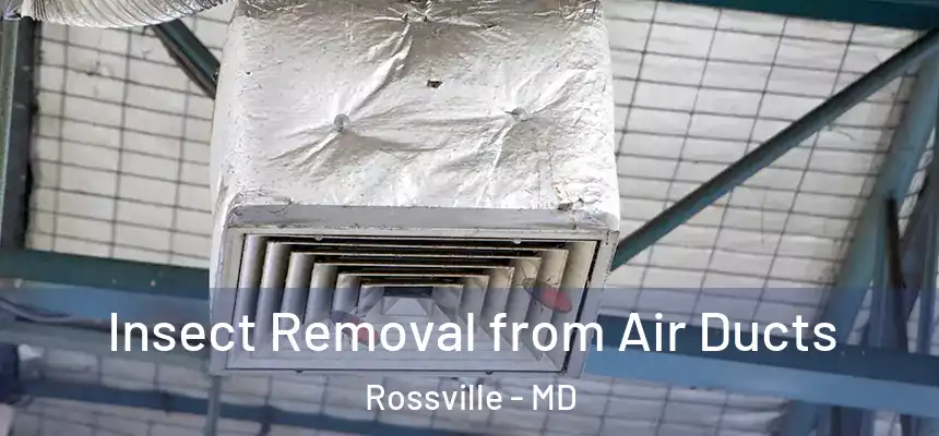 Insect Removal from Air Ducts Rossville - MD