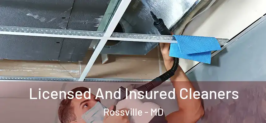  Licensed And Insured Cleaners Rossville - MD