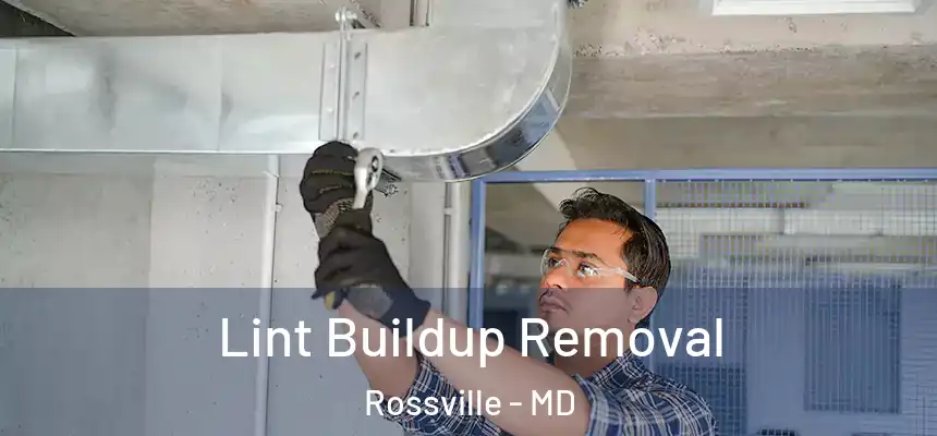 Lint Buildup Removal Rossville - MD