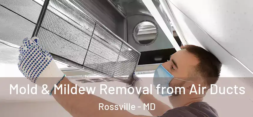  Mold & Mildew Removal from Air Ducts Rossville - MD