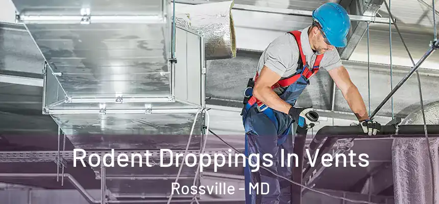 Rodent Droppings In Vents Rossville - MD
