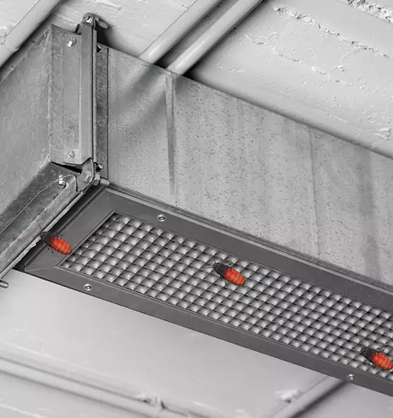 About Air Duct Cockroach Removal in Rossville, MD