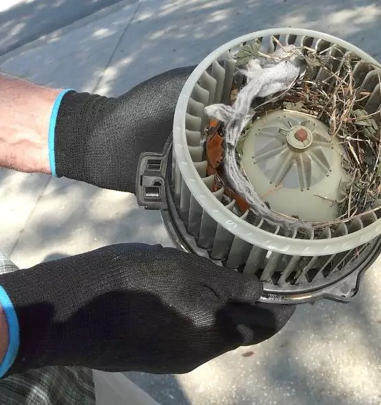 About Air Duct Mice Removal in Rossville, MD