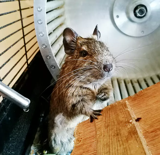 Why Homeowners & Businesses Trust Us Rossville, MD?